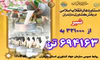 روایت دستاوردهای انقلاب اسلامی در کشاورزی استان مازندران/ شیر